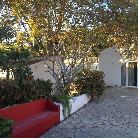 São João do EstorilCasa Do Hibisco别墅 外观 照片