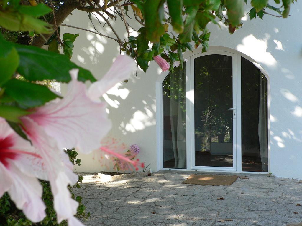 São João do EstorilCasa Do Hibisco别墅 外观 照片